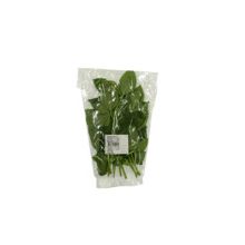 PJ Basiilik 50g Greenfresh